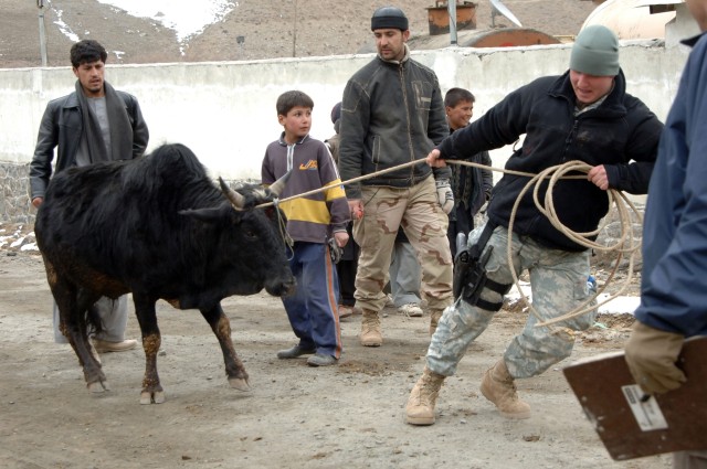 Cowboys of Afghanistan