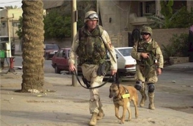 Military Working Dogs: The Army&#039;s Four Footed Heroes