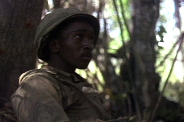 Cavalryman at LZ X-Ray