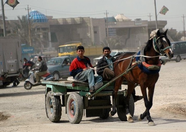 Clearing Sadr City