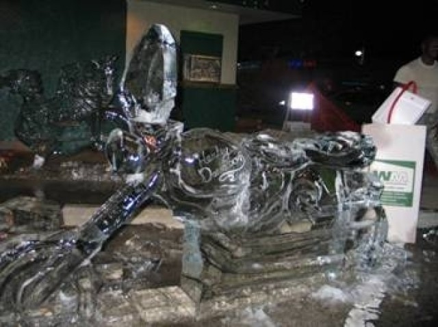 Army Ice Sculpting