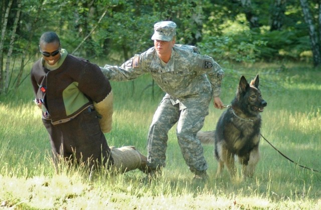 Military Working Dog teams compete for USAREUR title