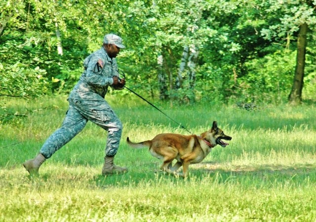 Military Working Dog teams compete for USAREUR title