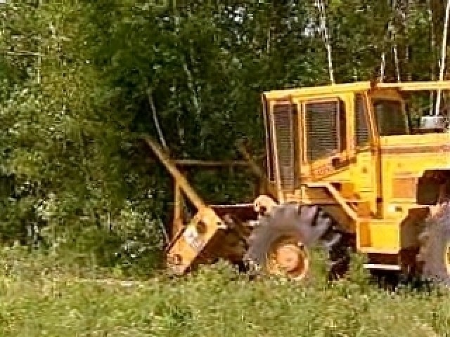 Ft. Drum Forestry Officials