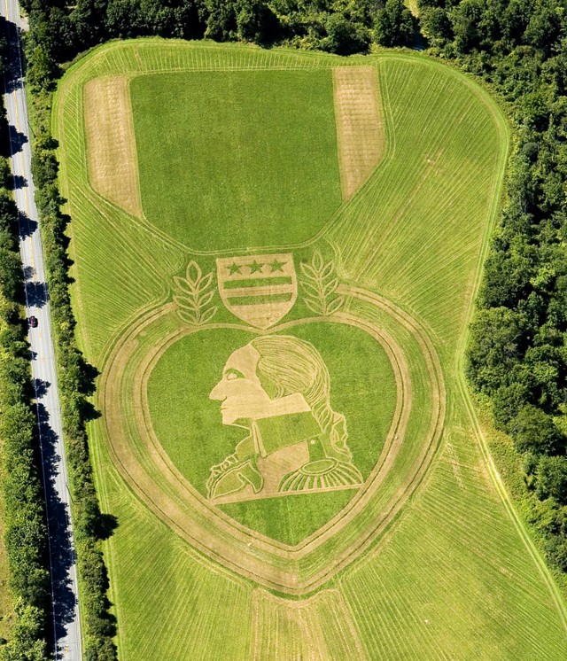 Artist Creates Giant Rendition of Purple Heart Medal