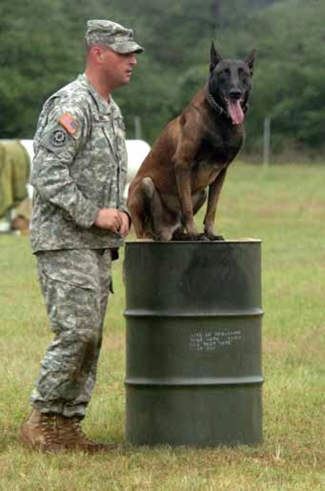 Army Honors Its &#039;Top Dogs&#039;