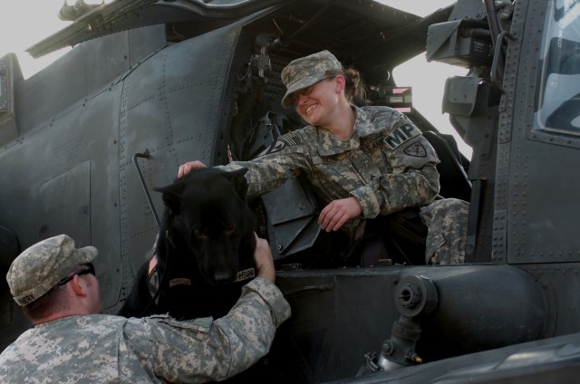 Sgt. Jodi Stone (right), a patrol explosive detector dog handler attached to Headquarters and Headquarters Troop, 1st "Ironhorse" Brigade Combat Team, 1st Cavalry Division, who hails from Stanwood, Wash., holds her dog, "Bengo" steady as Sgt....