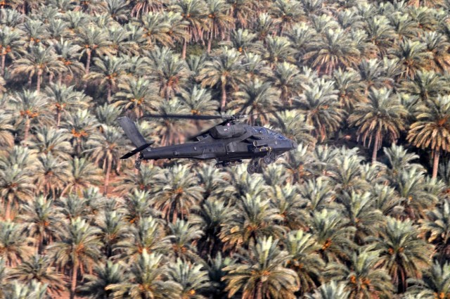An AH-64D Apache from Company B, 1st "Attack" Battalion, 227th Aviation Regiment, 1st Air Cavalry Brigade, 1st Cavalry Division, flies over a palm grove in the Multi-National Division-Baghdad area Oct. 12. The Apache crew was conducting a reconnaissa...