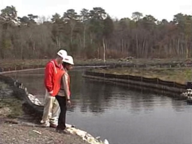 Contaminated Water