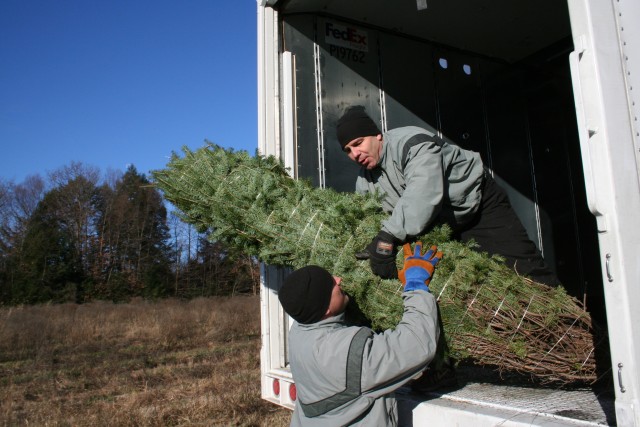 &#039;Trees for Troops&#039; Program Gets Boost From Guard