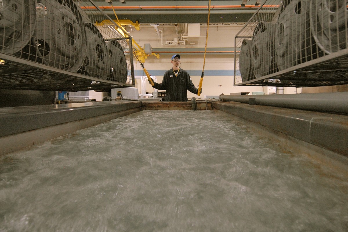 Double Dip Article The United States Army