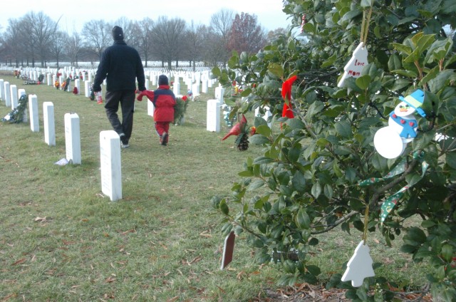 Holly tree in Section 60
