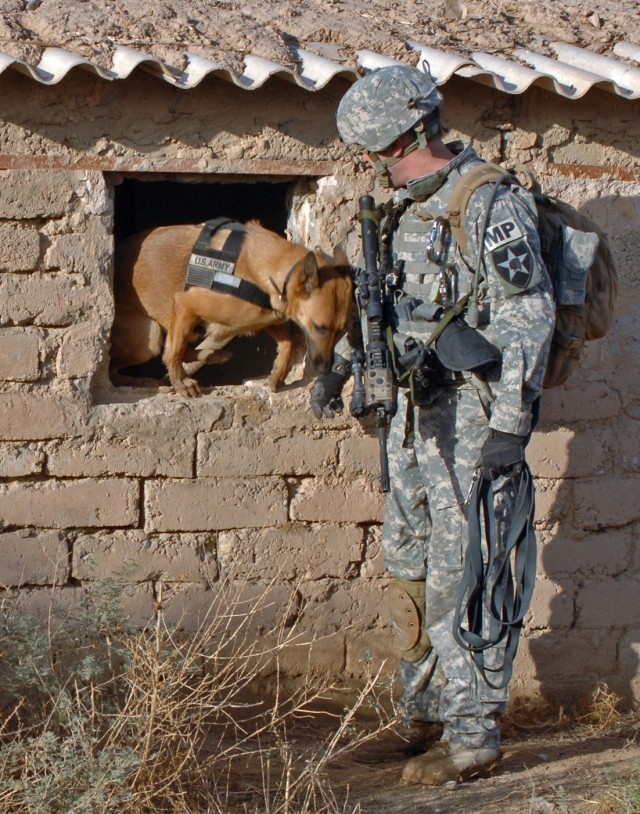 Operations in Northern Iraq