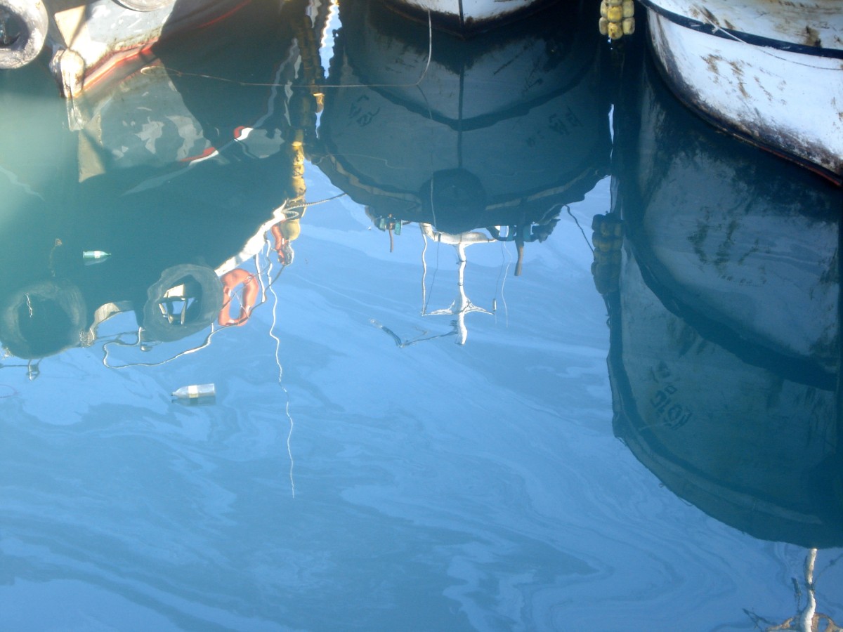 Volunteers Still Helping Clean up Korean Oil Spill ...