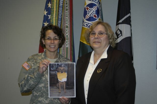A New Twist On An Old Story: Dog Eats Military Records