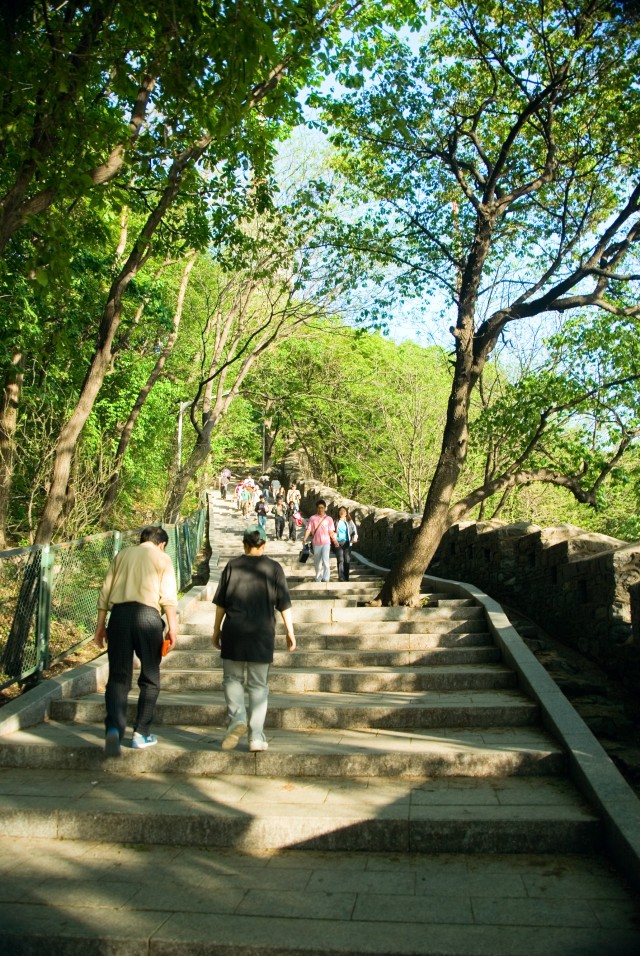 Hiking the Mountain