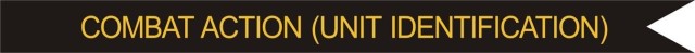 Combat Action Streamer