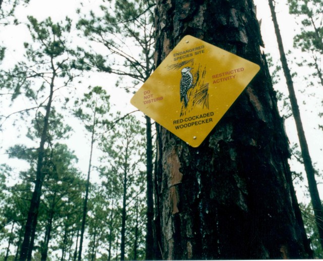 Red-cockaded woodpecker habitat sign