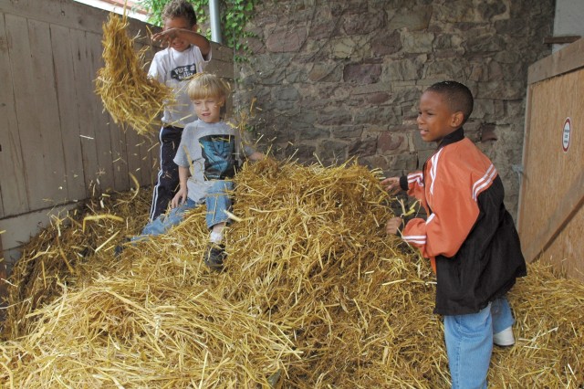 Hay is for horses