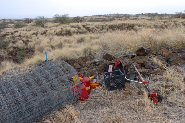 Goats, fire endanger Waikoloa dry forests