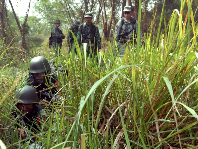 Pacific partnership produces Indonesian Army&#039;s first WLC