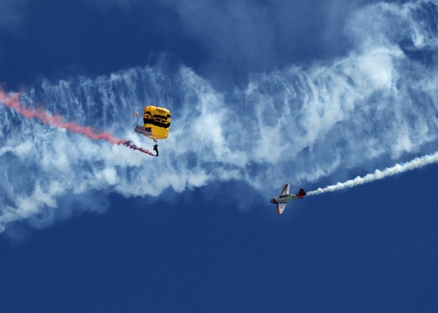 SGT Daniel Cook jumps in the Colors for the 50th Chicago Air and Water Show