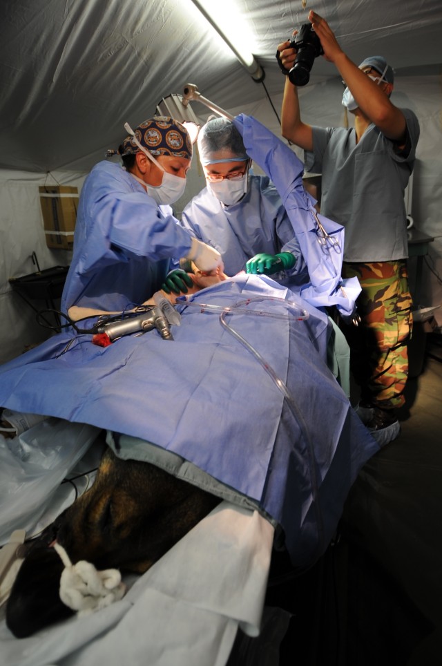 129th Medical Detachment, South Korea