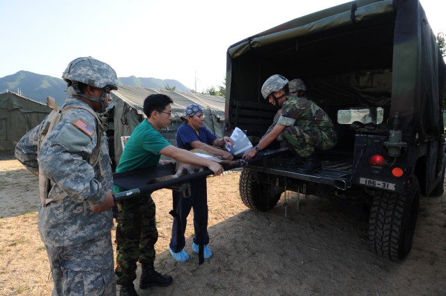 129th Medical Detachment (Veterinary Medicine)