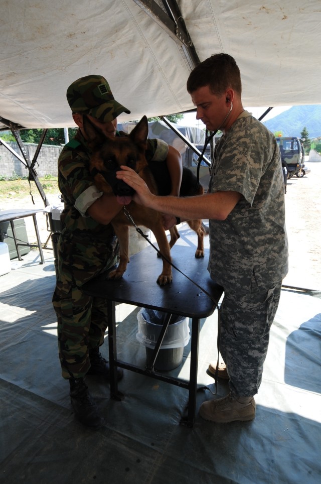 The 129th Medical Detachment (Veterinary Medicine)