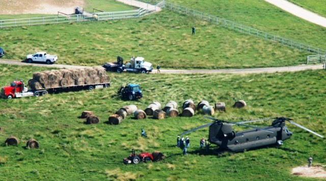 Ranchers lay out hay for Chinook