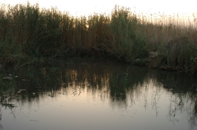 Morning at Abraham&#039;s Well