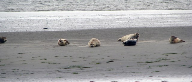 Island adventure provides break for deployment kids