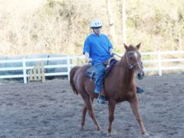Horse therapy helps wounded warriors 