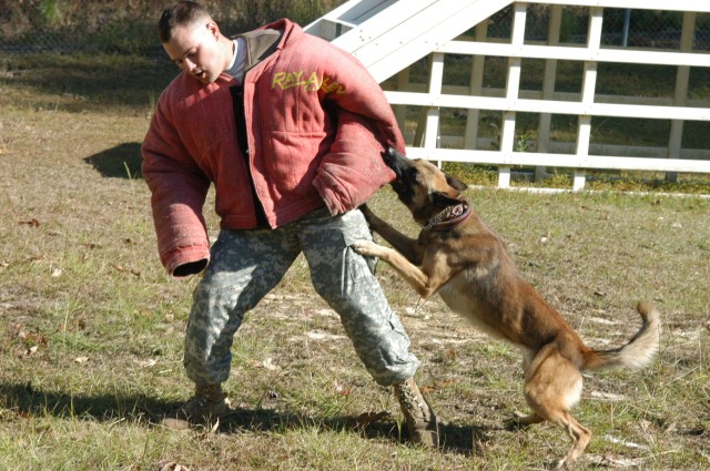 Fort Polk MPs put canine partners through paces