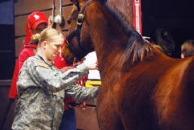 CGMCG mounts get visit from vet