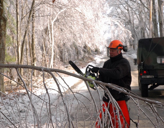 Cutting fallen trees