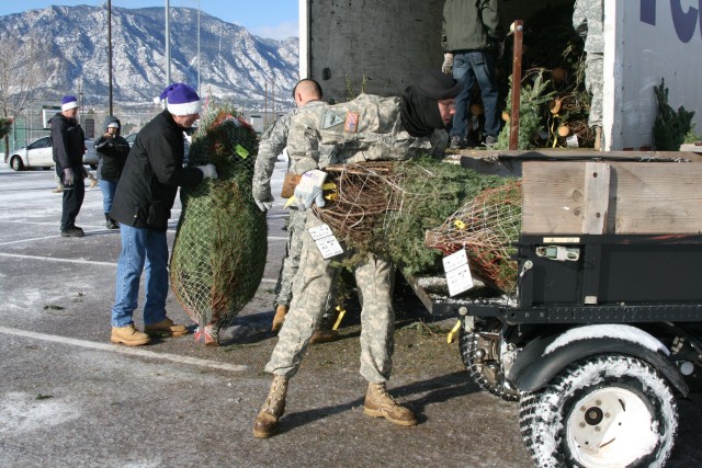 Trees for Troops provides Christmas Spirit