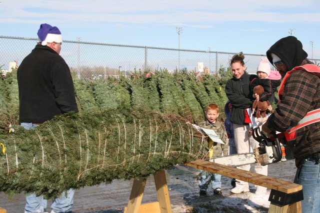 Trees for Troops provides Christmas spirit