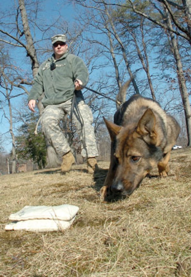 MPs, military working dogs prepare for Inaugural service