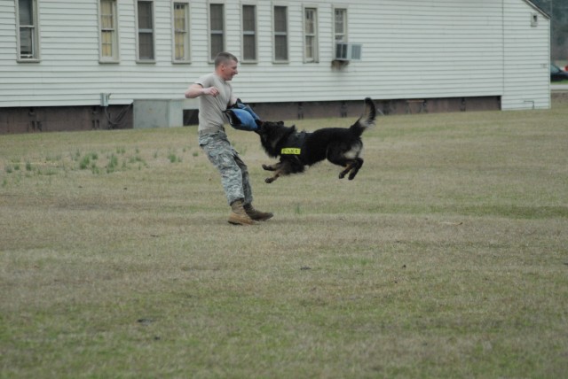 Canine battle buddies take bite out of crime -- Attack work