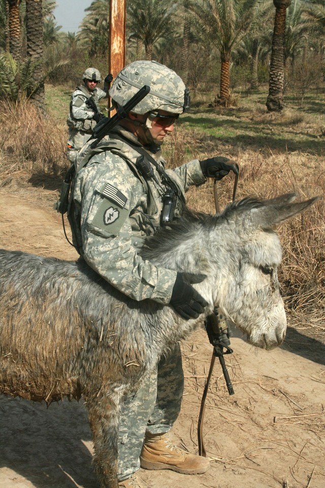 ISTAQLAL, Iraq - 1st Lt. Louis Cascino, an infantry platoon leader, Company B, 1st Battalion, 27th Infantry Regiment, currently attached to 3rd Brigade Combat Team, 82nd Airborne Division, Multi-National Division-Baghdad, calms a donkey after he and ...