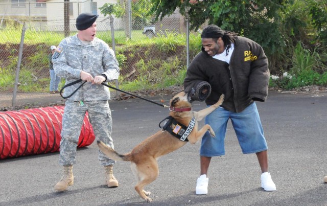 8th Theater Sustainment Command Soldiers Support Pro Bowl in Hawaii