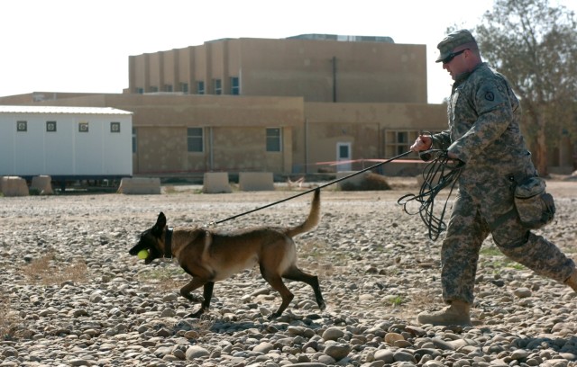 Army Training: For the Dogs