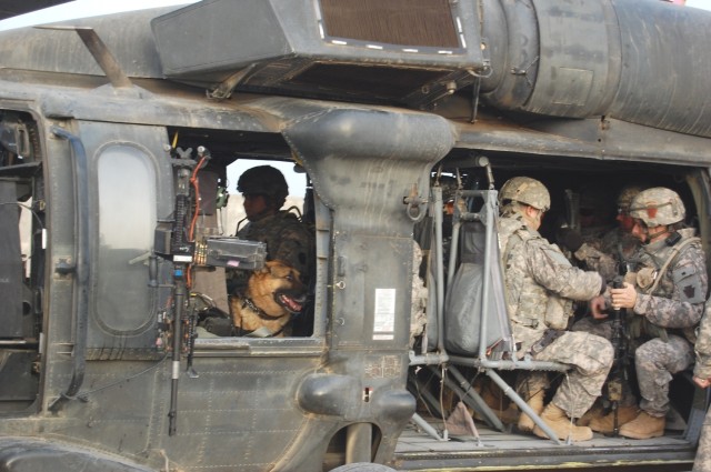 JOINT SECURITY STATION ISTAQLAL, Iraq -Piero, a military working dog with the  56th Stryker Brigade Combat Team, Pennsylvania Army National Guard, Multi-National Division-Baghdad, looks on from the gunner's window of an UH-60 Blackhawk helicopter dur...