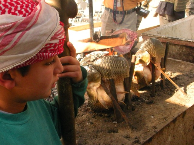 BAGHDAD - An Iraqi child looks on as fresh water fish cook in the traditional "masgoof" method at the Shawaka Fish Market in the Karkh district of northwest Baghdad Feb 18. The Shawaka Fish Market offers the residents of Baghdad the opportunity to...