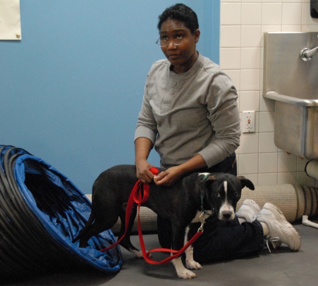 Wounded Soldiers, shelter dogs help each other