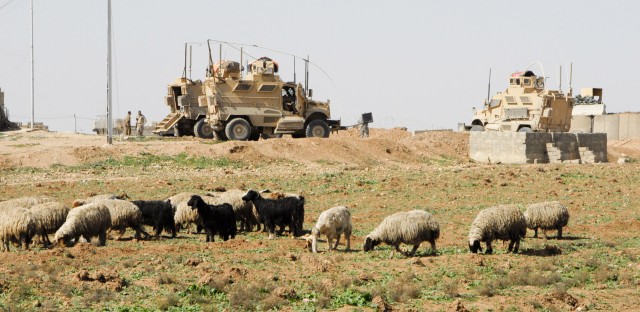 A small herd of sheep graze in an empty lot in 7 Nissan, a neighborhood under the supervision of Battery B, 2nd Battalion, 82nd Field Artillery Regiment, 3rd Heavy Brigade Combat Team, 1st Cav. Div. Battery B,and many lower-level units in the...