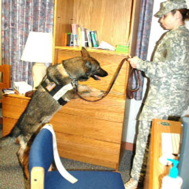 Ready &#039;fur&#039; barracks inspection