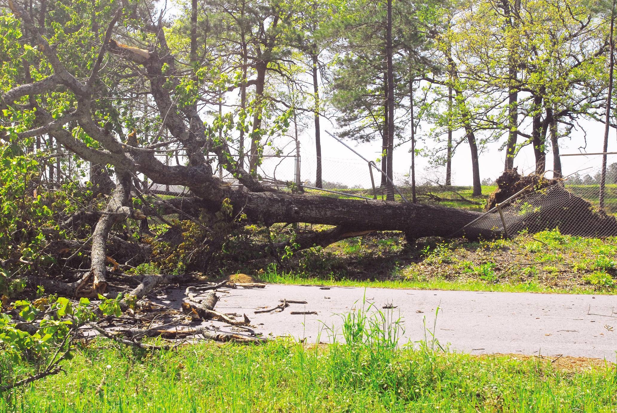 Friday's tornadoes wreak havoc | Article | The United States Army