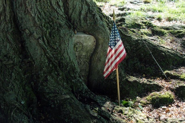 Honoring the Fallen